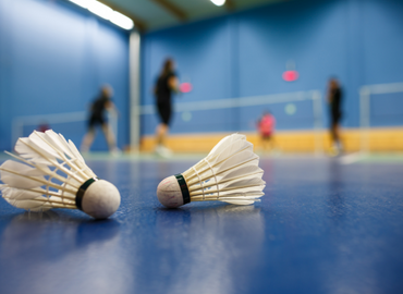 synergies-vector-sports-badminton