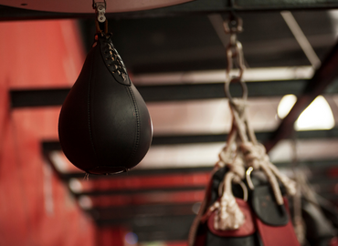 synergies-vector-sports-de-combat