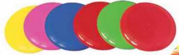 Frisbee blanc-1