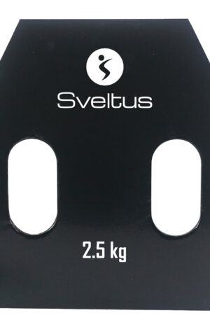 Plaque acier avec poignées - 2,5 kg - la paire-1