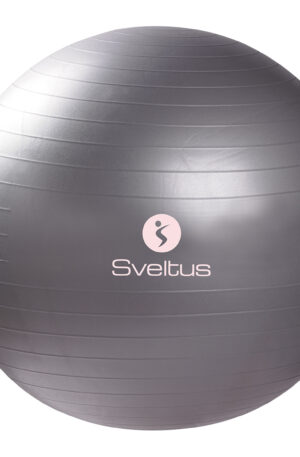 Gymball 65 cm gris-1