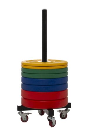 SUPPORT DE DISQUES CROSSFIT-1