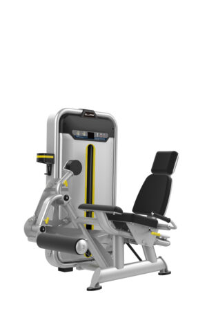 EXTENSION QUADRICEPS-1