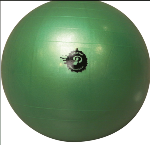 Ballon Poull Ball 55cm-1