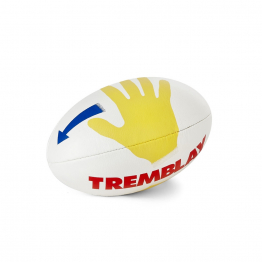 Ballon de Rugby SCHOOL RUGBY - taille 3-1