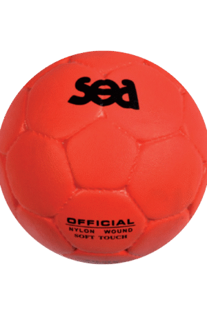 Ballon school composite-1