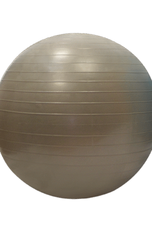 Gymball / Balle gymnique 55 cm-1