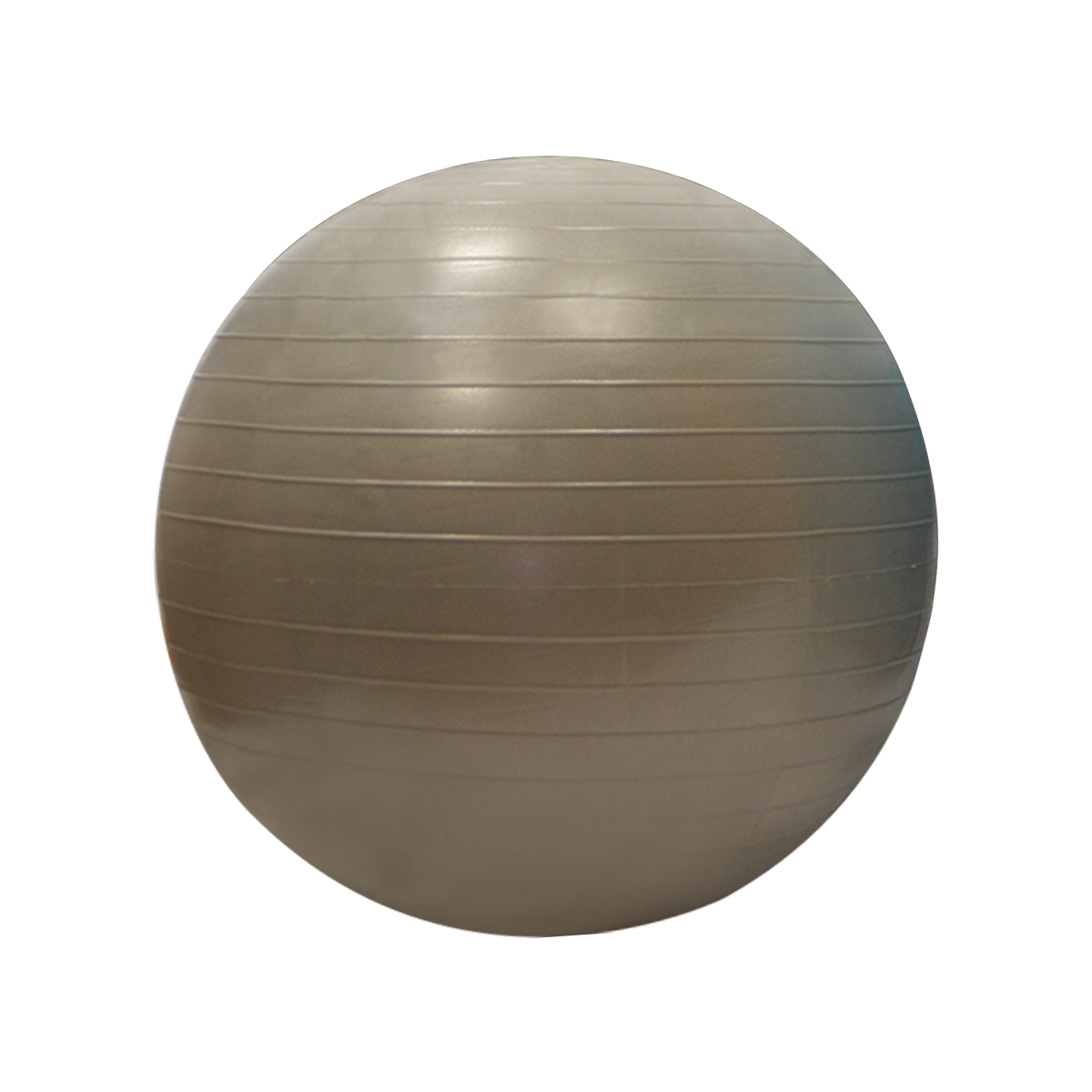 Gymball / Balle gymnique 55 cm-1