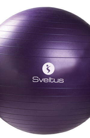 Gymball 75 cm parme-1