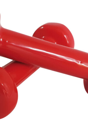 Haltères époxy 500g x 2-1