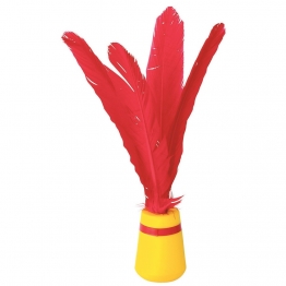 INDIAKA INITIATION-2