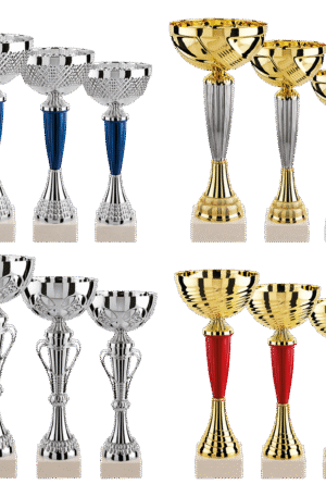 Lot de 12 coupes N°1-1