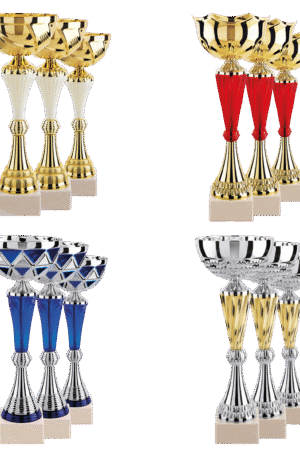 Lot de 12 coupes N°2-1