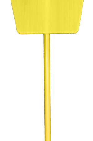 Buste d'entraînement (1) -1