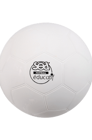 Ballon de football éducatif-1