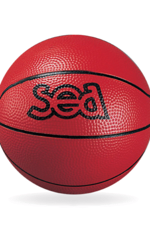 Ballon de basket SEA découverte-1