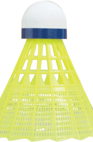 Tube de 6 volants de badminton Tech 450 Medium-1