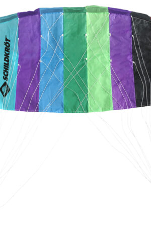 Cerf-volant à double ligne 1.6-1