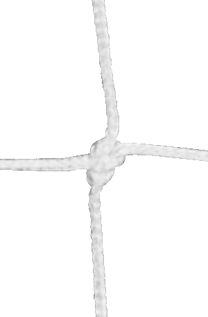 Filet pare-ballons de golf Tressé Nylon 2mm maille 25 le m²-1