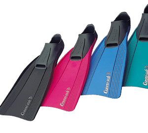 PALMES CLIO (41-42)-1