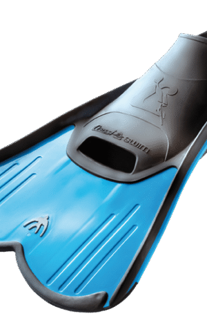 PALMES COURTES (33-34)-1