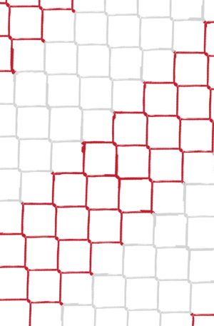 Filet foot à 11 européen bicolore PP tressé 4mm simple maille 120 (la paire)-1