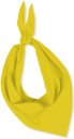 Foulard-1
