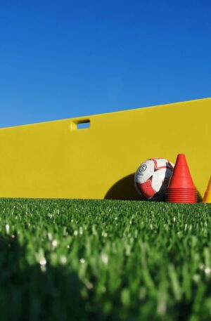 Planche à rebonds "L'originale"-1