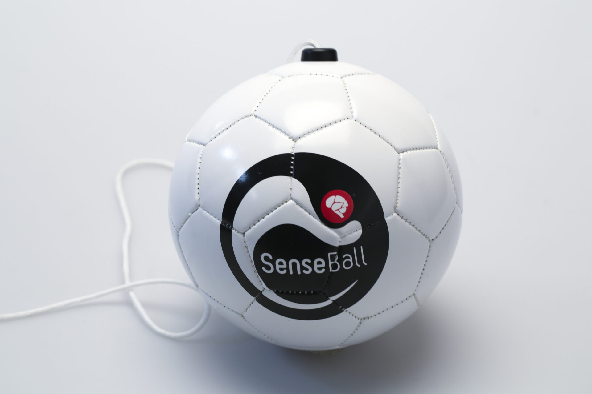 SENSEBALL-2