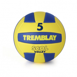 BALLON DE VOLLEYBALL - T5-1