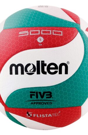 BALLON DE VOLLEY MOLTEN V5M5000-1