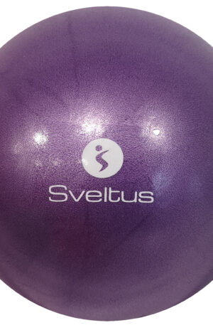 Ballon pédagogique violet sachet-1