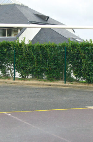 1 BUT HANDBALL/FOOTBALL Ø 102 mm - ACIER G+P - SCELLEMENT DIRECT-1