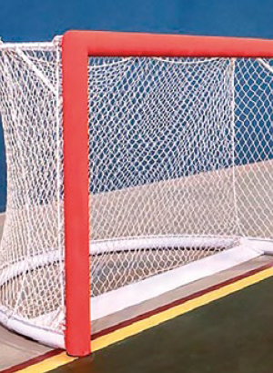 BUTS RINK HOCKEY COMPÉTITION ACIER G+P-1