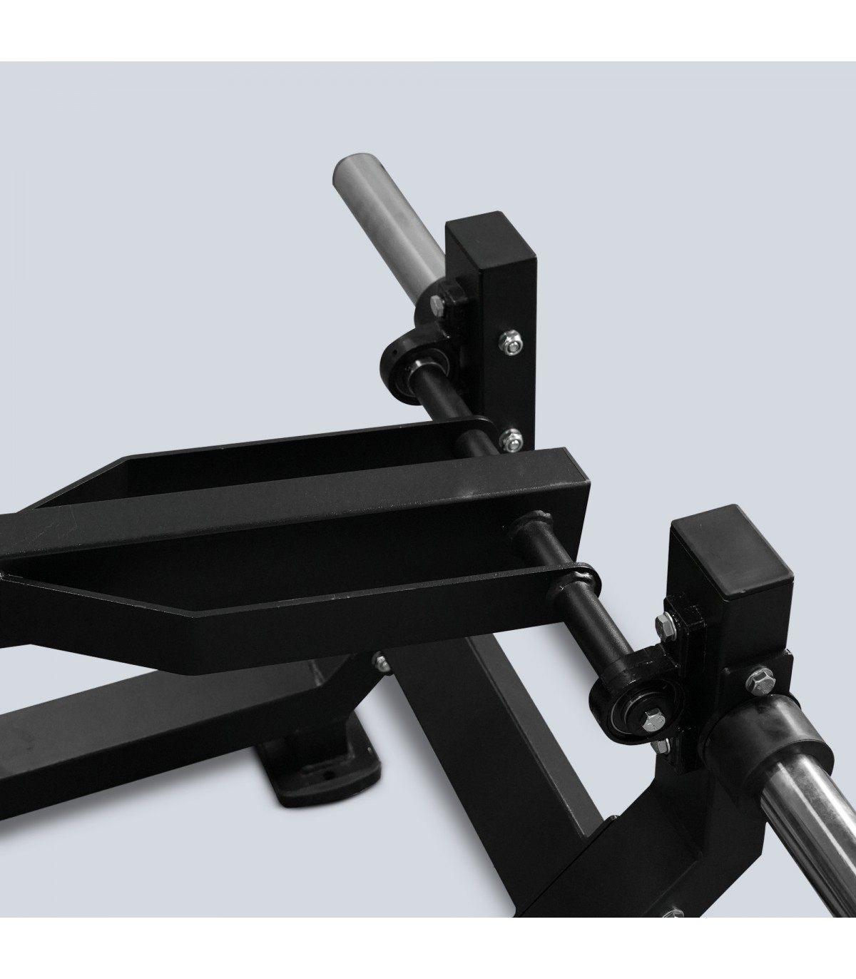 Belt squat-5
