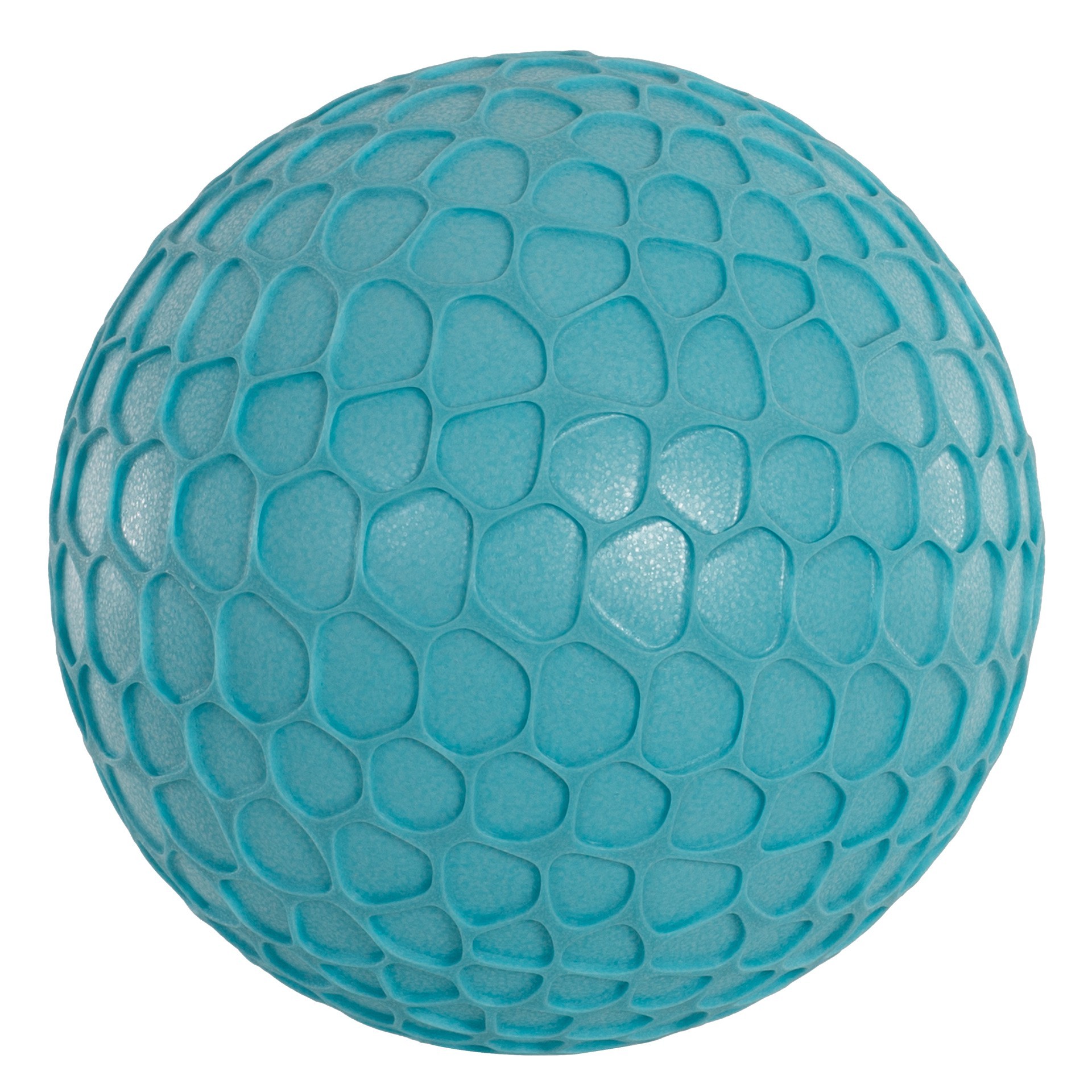 BALLE SENSORIELLE NET-1