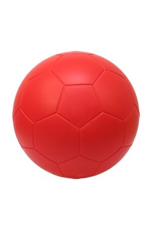 BallE MOUSSE haute densité 21 cm-1